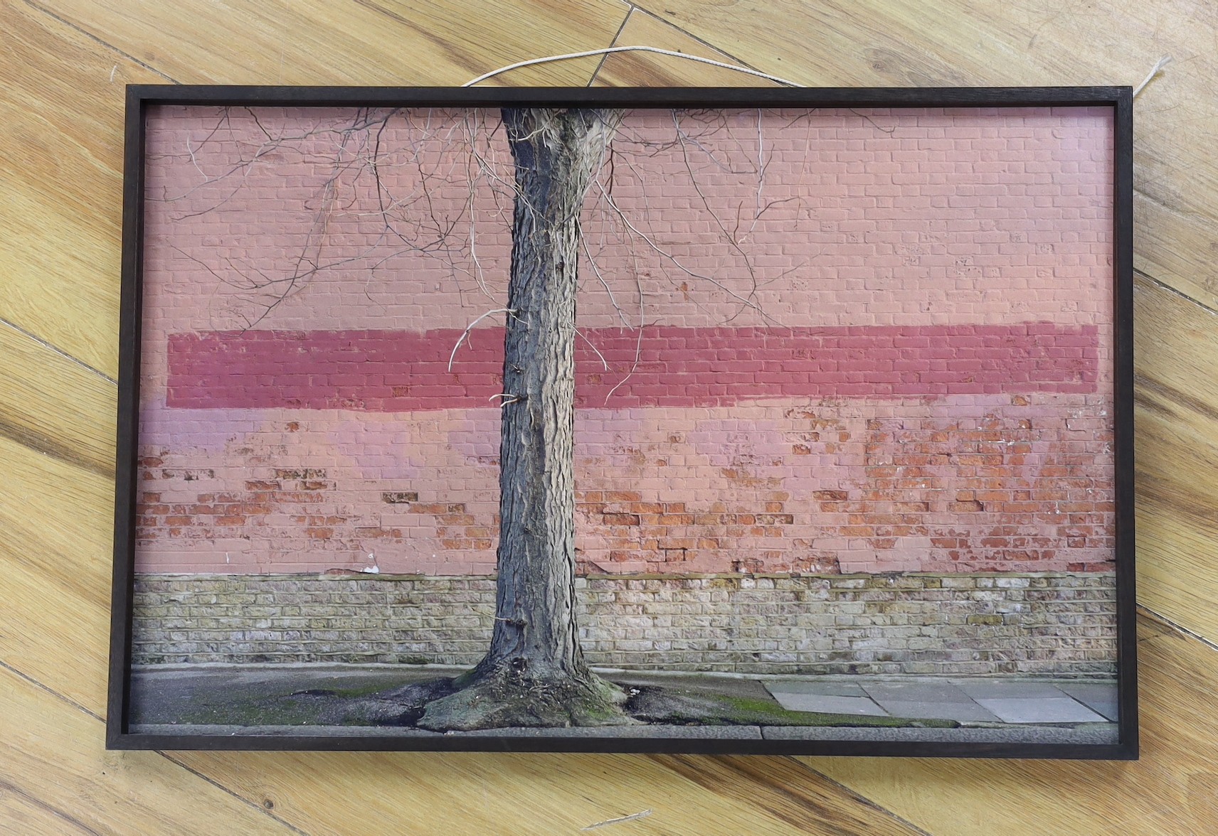 Attributed to Stephen Scott Patterson, colour photograph, Tree trunk and brick wall, Darbyshire White label verso, 34 x 51cm